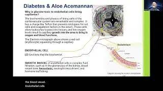 Diabetes, Big Pharma & the Aloe Acemannan Breakthrough They Never Talk About