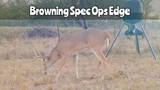 Deer Feeder #2: Browning Spec Ops Edge Trail Camera Nov. 9-11, 2014