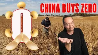 Fked Around & Found Out: The Soybean Edition