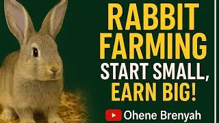 Rabbit Farming: Start Small, Earn Big Using First Principles Thinking! 🐇💰