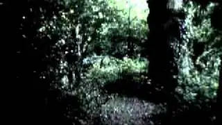 A Bad Zombie Movie