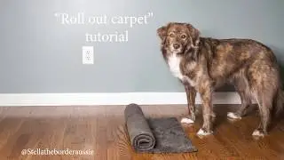 Trick tutorial - 