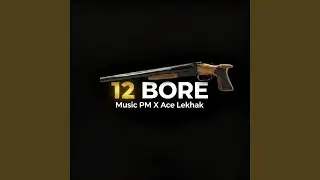 12 Bore