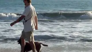 5 Minute Beach Break  ~ Doheny State Beach