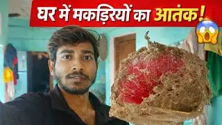 घर में मकड़ियों का आतंक 🕷️🕸️| Spiders Se Pareshan