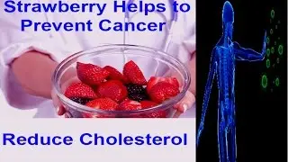 Strawberry Helps To Prevent Cancer and Reduce Cholesterol
