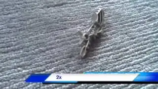 Gunbuilding episode 1