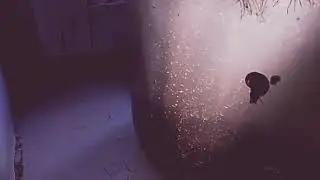 Лёгкий способ содержать дафнию