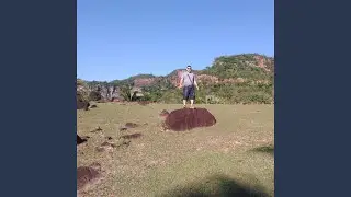 Voz do Sert&atilde;o