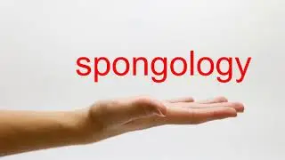 How to Pronounce spongology - American English