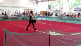 Caesar ~ Border Collie | Dog Dancing Competition