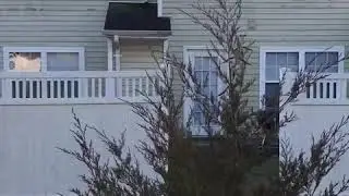 HOA Cleaning