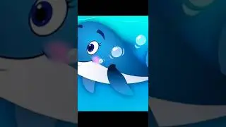 Blue 🔵 dolphin song 😍.