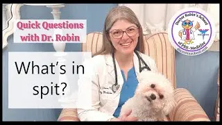 What’s in our SPIT?