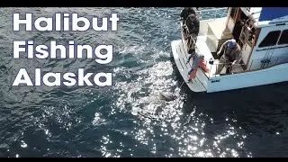 Halibut and Lingcod fishing in Alaska!