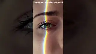 10 interesting facts about eyes