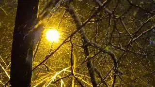 Aliens trying to communicate through the street light? Just kidding 😅