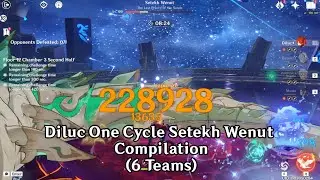 Diluc vs Wenut One Cycle Compilation | Genshin Impact