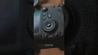 How Easy Are They to Use? Canon 6D vs Canon 77D
