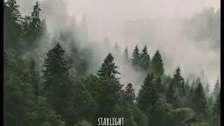 PORTER - M Bosque  (letra)