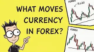 What Moves Currency Values? The Real Drivers Explained! - Forex Basic