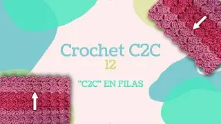 C2C f&aacute;cil para tod@s. Cap&iacute;tulo 12: 