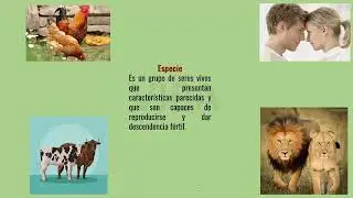3º SEM T3 VACACIONAL BIO SEC I   ECOLOGÌA.