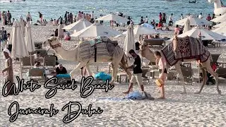 WHITE SAND BEACH | JUMEIRAH 4K VIDEO | DUBAI UNITED ARAB EMIRATES