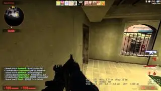 CSGO - Hidden zebra
