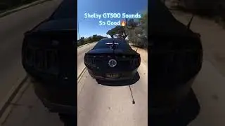 Crazy Sounding Shelby GT500 / S197 exhaust clip / Roush exhaust