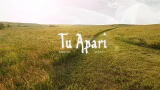 Tu apari