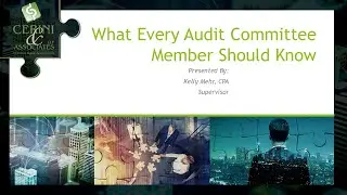 Audit Committee Best Practices to Protect Your Nonprofit - Cerini Short