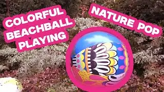 Pop inflatable - Playing With a Colorful Beach Ball in the Forest ubtil it popps 🌳🎈 Fun Outdoors!
