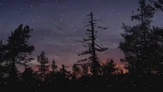 Voces 8 : For now I am winter