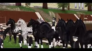Либерти от Храбрых Крыльев Star stable online |  Клуб FWI