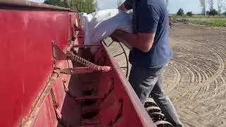 Austrian Winter Pea Planting 2021