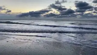 Edisto beach South Carolina 