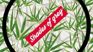 Shades Of Grey - Section Onne