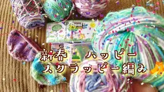 【ハッピースクラッピー編み🧦】25周年のお気に入りのペアで編んでみました🙆‍♀