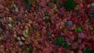 Provo Canyon in Fall - Drone HD