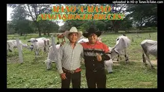 MANO A MANO NIXO&ROGER BRUCES