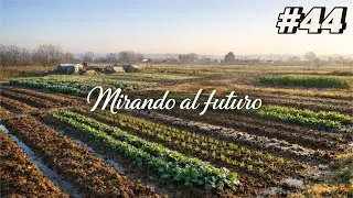 Planificaci&oacute;n de la huerta en invierno: estado de las fincas y cultivos de la pr&oacute;xima temporada