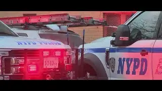 Man shot to death in Bronx subway station: NYPD