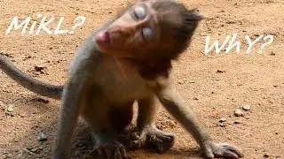 Why Lizza? Million Pity Poor Lizza Screaming Loudly | Skinny Lizza Baby Hungry Milk | Monkey Crying