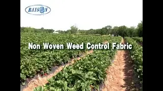 Biodegradable non woven weed control fabric