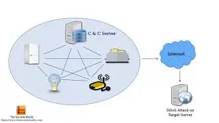 What is an IoT Botnet and how does it work?
