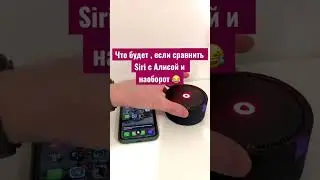 Что будет , если сравнить Siri с Яндекс Алисой ?