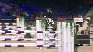 Han Solo de Hus - 7yo Stallion Competition Jumping Mechelen 2024