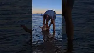 День из жизни папы.#dadlife #baby #папаидочка #family #рекомендации #влог #vlog#dadanddaughter