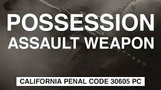 Criminal Law Illegal Possession Of An Assault Weapon | Amin Law